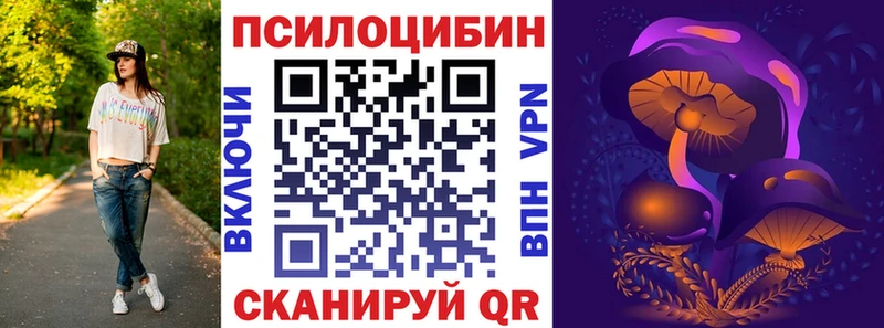 наркота  Камызяк  Псилоцибиновые грибы MAGIC MUSHROOMS 